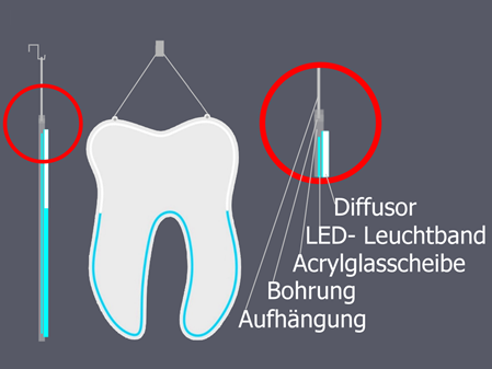 Qualitäts LED Neonzähne aus Hamburg